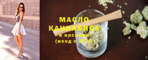 прущие грибы Елабуга