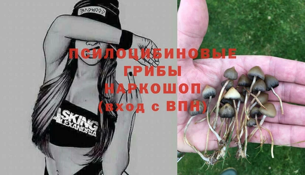 ECSTASY Ельня