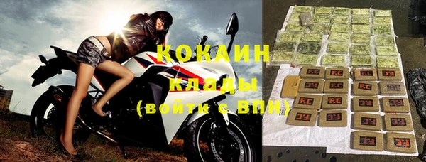 прущие грибы Елабуга